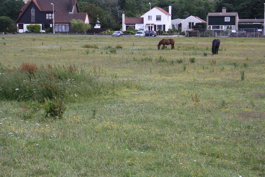 Villa 'T Haasduin Wijk aan Zee Eksteriør billede