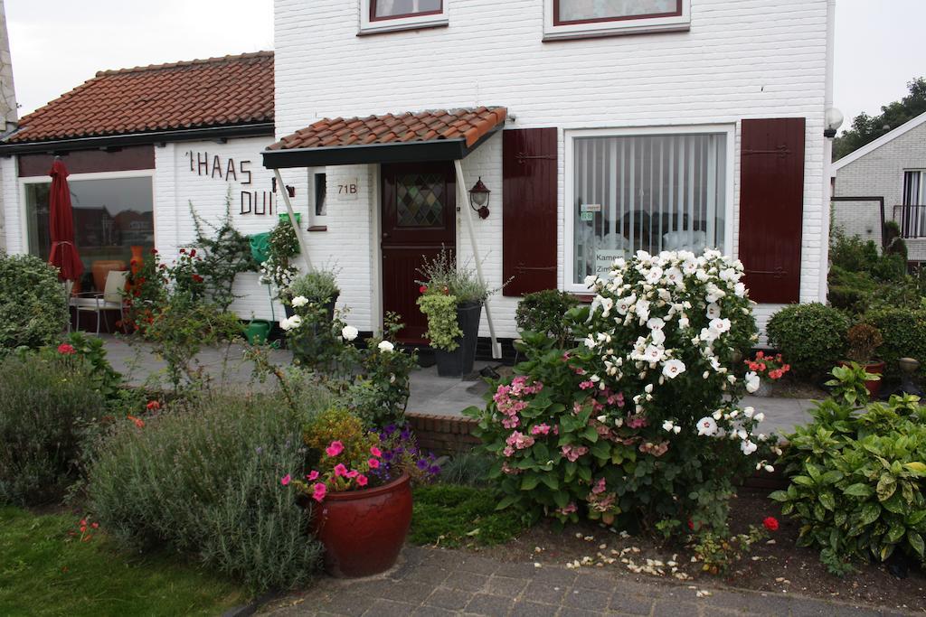 Villa 'T Haasduin Wijk aan Zee Eksteriør billede